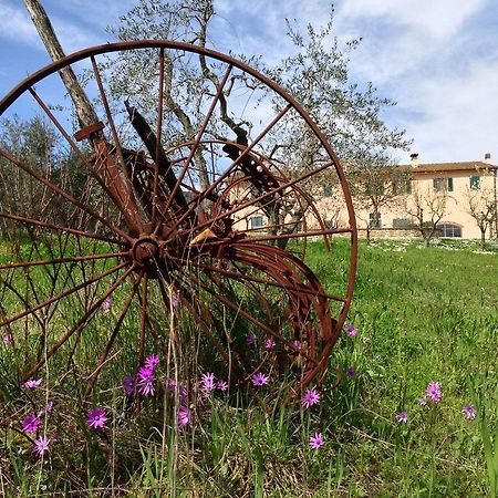 Agriturismo La Torricella Пистойя Экстерьер фото