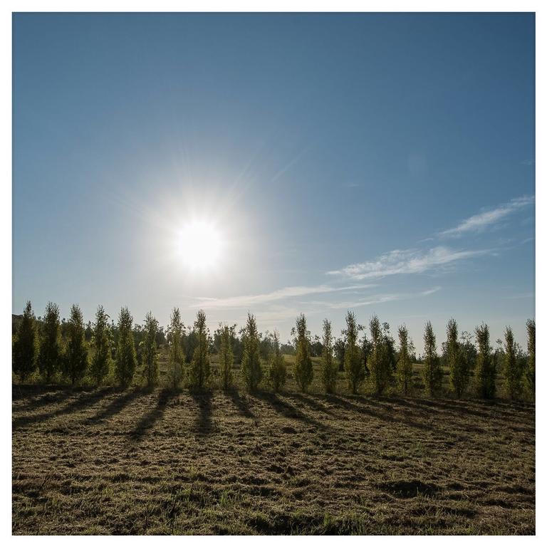 Agriturismo La Torricella Пистойя Экстерьер фото