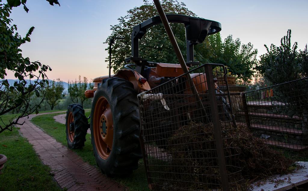 Agriturismo La Torricella Пистойя Экстерьер фото